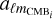Mathematical equation: ${a_{{\ell _{{m_{{\rm{CM}}{{\rm{B}}_i}}}}}}}$