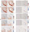 Thumbnail: Fig. 2 Refer to the following caption and surrounding text.