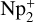 Mathematical equation: ${\rm{Np}}_2^ + $