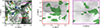 Thumbnail: Fig. C.2. Refer to the following caption and surrounding text.