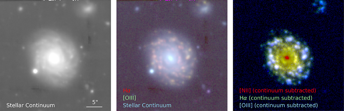 Fig. 1. Refer to the following caption and surrounding text.