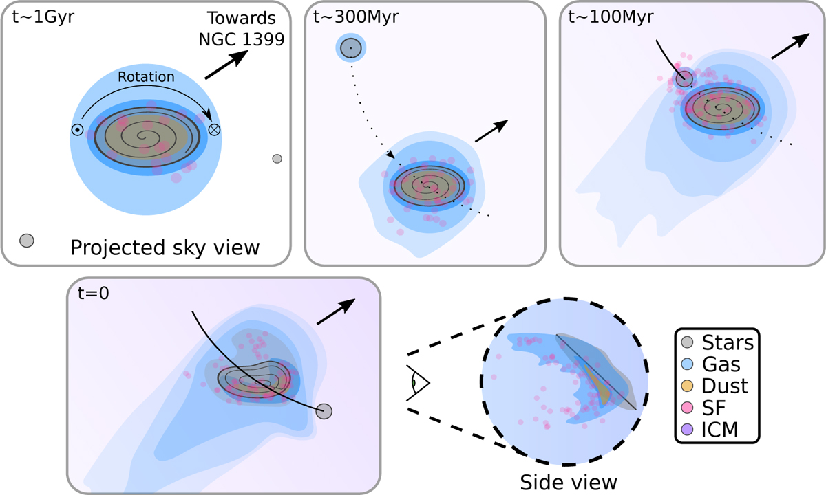 Fig. 10 Refer to the following caption and surrounding text.