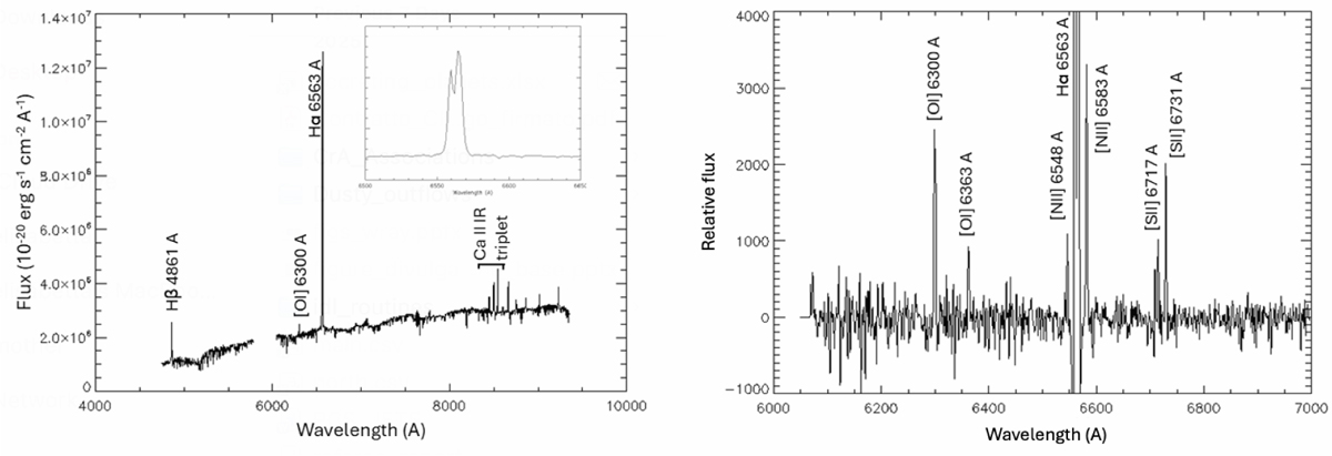 Fig. 7 Refer to the following caption and surrounding text.