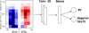 Thumbnail: Fig. 3 Refer to the following caption and surrounding text.
