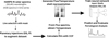 Thumbnail: Fig. 4 Refer to the following caption and surrounding text.