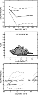 \begin{figure}
\par\includegraphics[width=6.6cm,clip]{12350f20.eps}\par\vspace*{...
...ar\vspace*{2mm}
\includegraphics[width=6.6cm,clip]{12350f22.eps}
\end{figure}