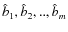 $\hat{b}_1,\hat{b}_2,..,\hat{b}_m$