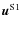 $\vec{u}^{\rm
S1}$